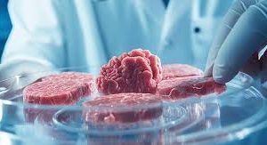 Kematian ‘Daging Lab’: Mengapa Restoran Paling Eksklusif di April 2026 Kini Hanya Menyajikan Bahan Liar dan Sayuran ‘Cacat’ yang Tidak Sempurna