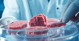 Kematian ‘Daging Lab’: Mengapa Restoran Paling Eksklusif di April 2026 Kini Hanya Menyajikan Bahan Liar dan Sayuran ‘Cacat’ yang Tidak Sempurna