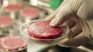 Selamat Tinggal Wagyu, Halo Mycelium: Mengapa April 2026 Menjadi Era di Mana ‘Daging Laboratorium’ Justru Jadi Simbol Status Baru?